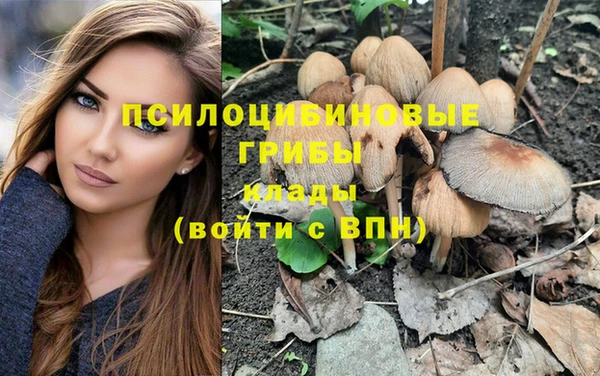 гидра Одинцово