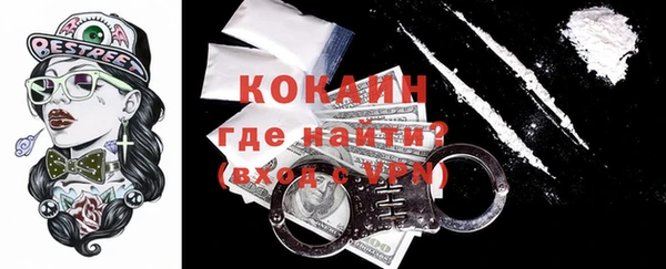 гашик Пыталово