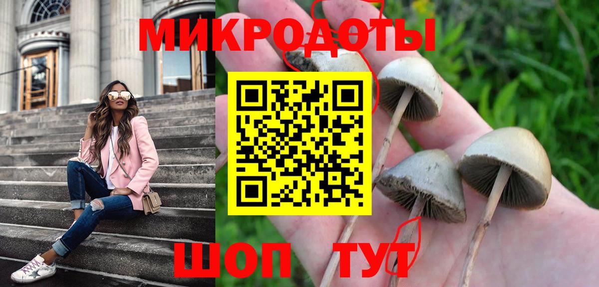 хочу наркоту  Псилоцибиновые грибы ЛСД  Вход с VPN  Псилоцибиновые грибы Magic Shrooms  Салават 